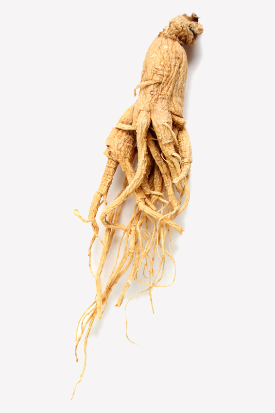 ginseng