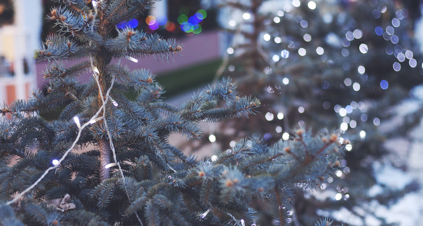 photo-1418073067875-c5f5ba16fe75