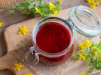 Which Herbal Oil is right for you?