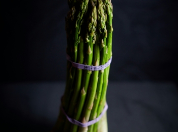 Asparagus Soup