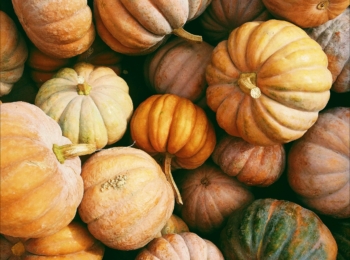 Roast Pumpkin and Sweetcorn Salad