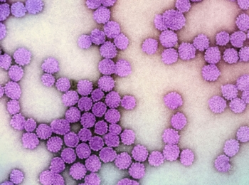 HPV & Cervical Health: What You Need to Know